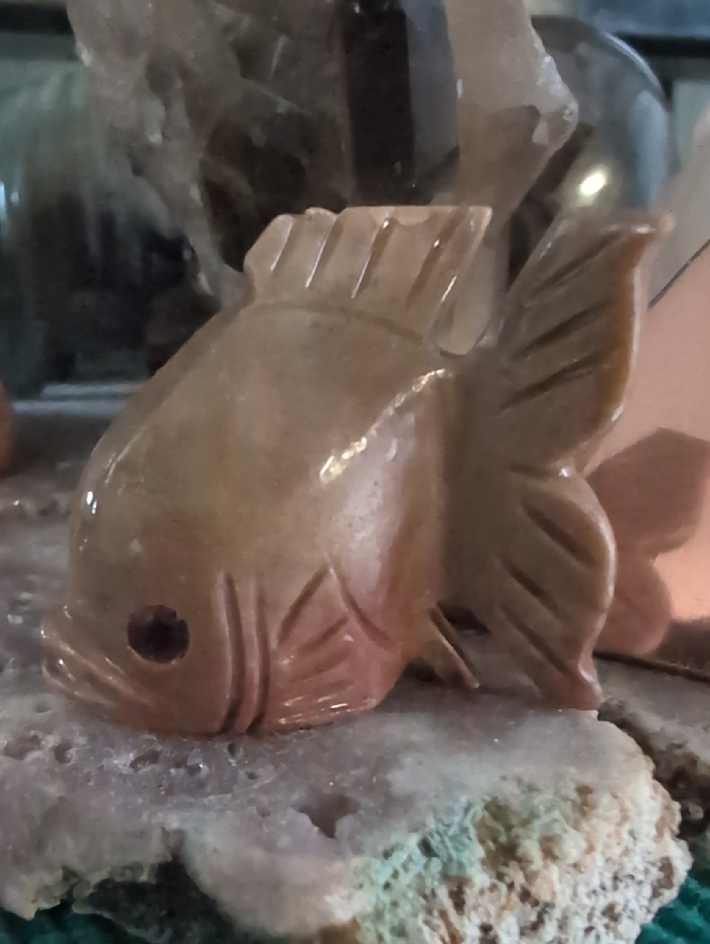 Mini Fish Jasper